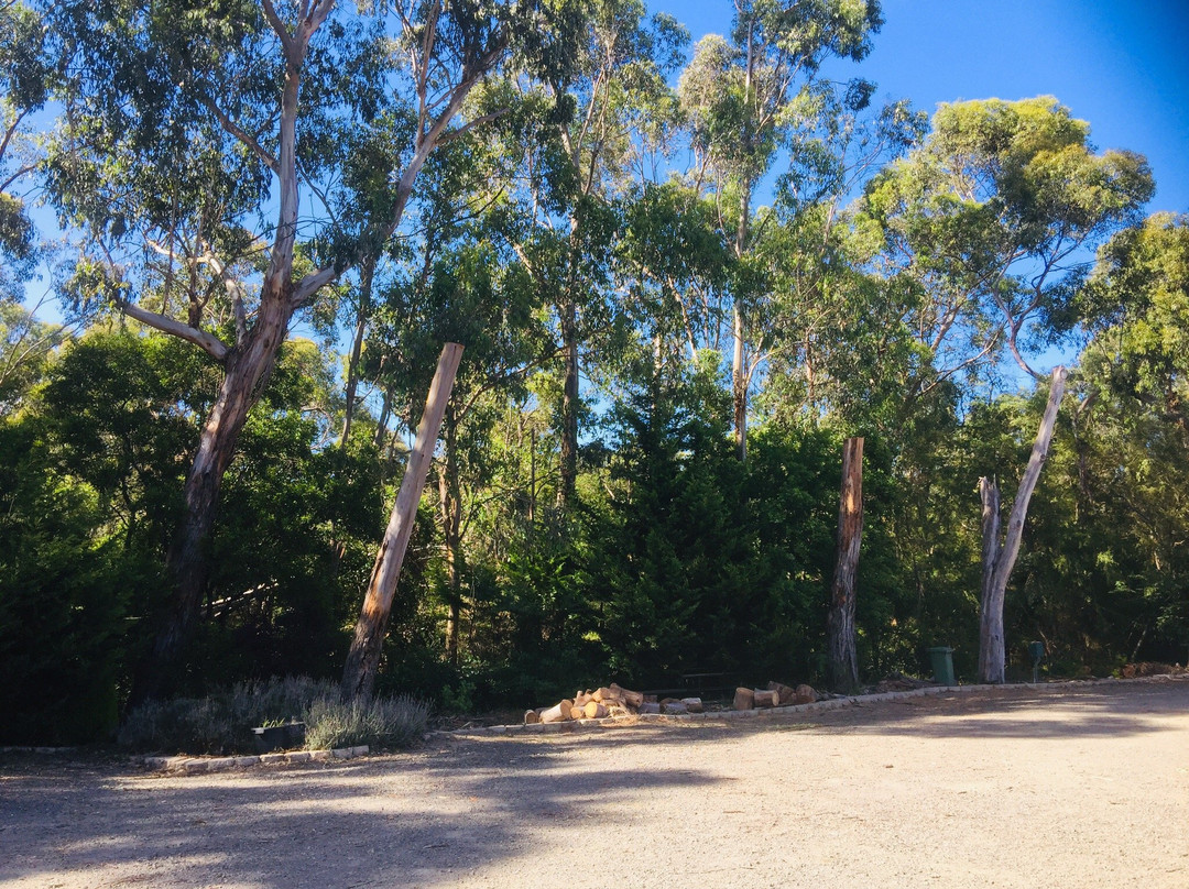 Sanctuary House Resort Motel主图