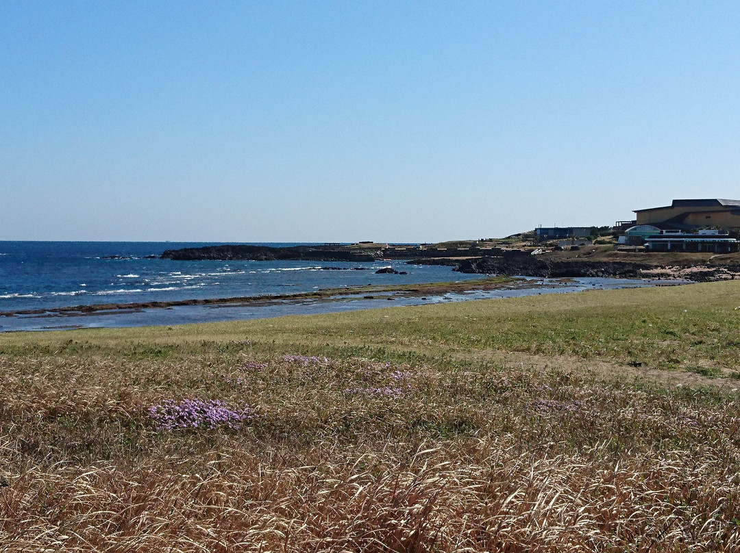 Gwangchigi Beach景点图片