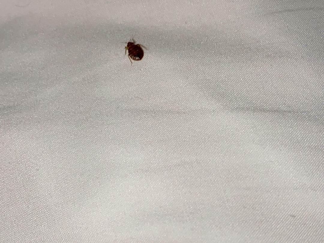 Quality Inn & Suites Moline – Quad Cities主图