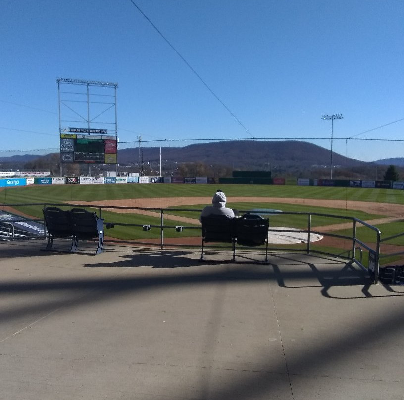 Medlar Field at Lubrano Park-宾夕法尼亚州学院必去景点