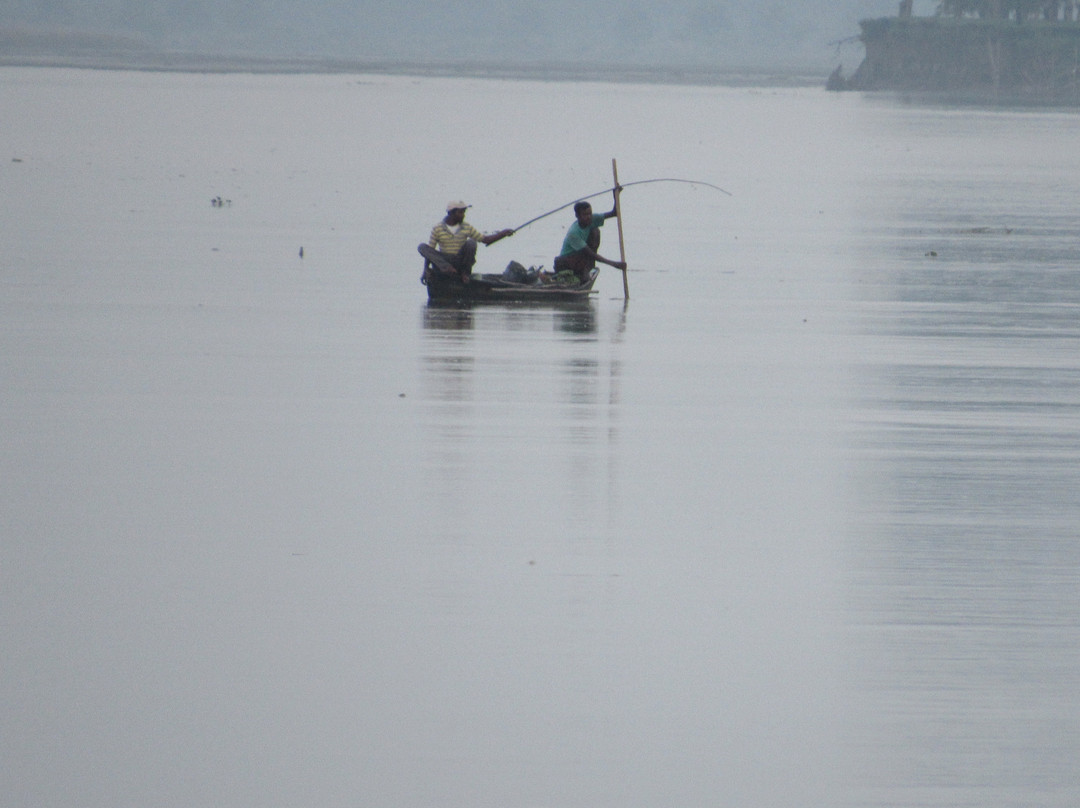 Dibru Saikhowa National Park景点图片