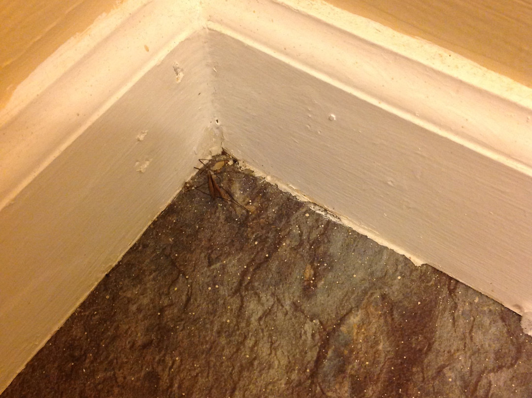 Travelier Motel主图