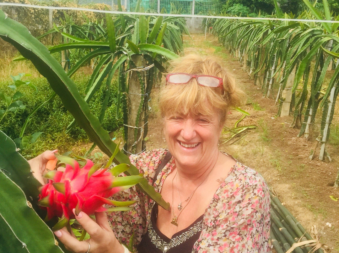 Vietnam To Travel-胡志明市必去景点