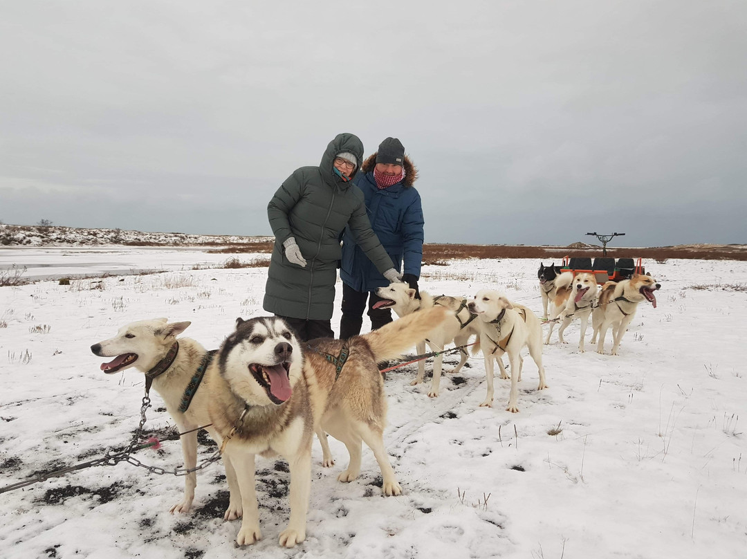 Dogsledding Iceland-莫斯费德斯拜尔必去景点