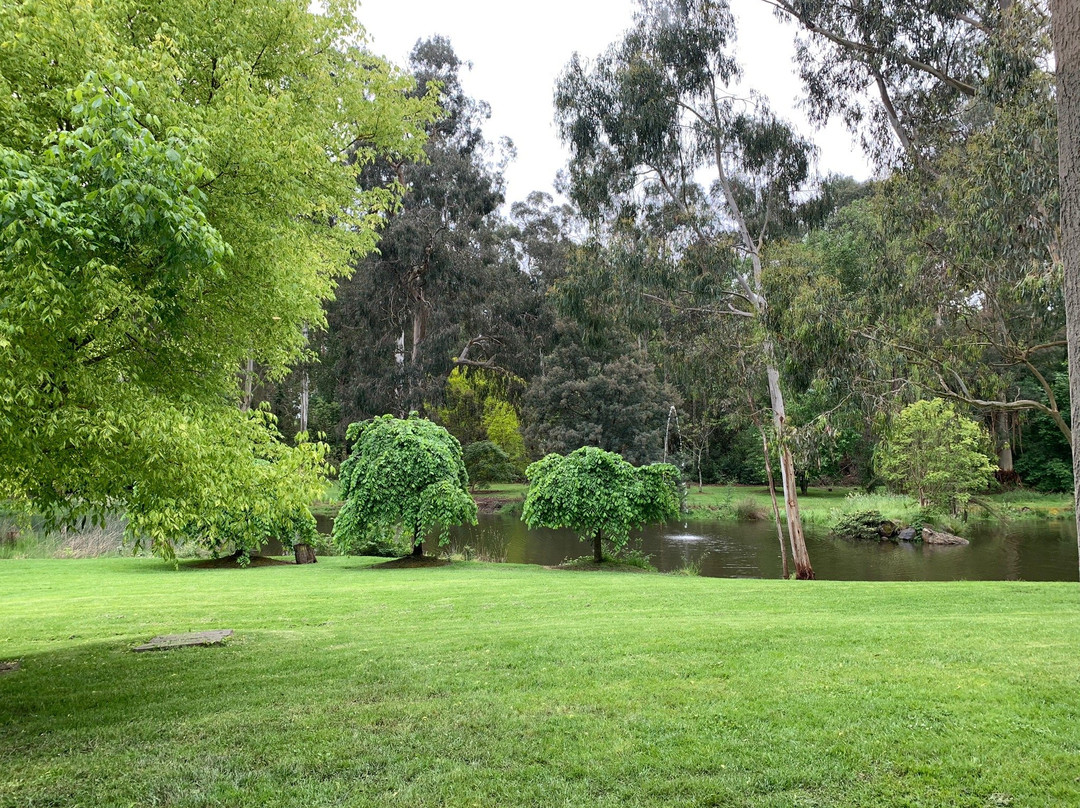 Nightcap at York on Lilydale主图