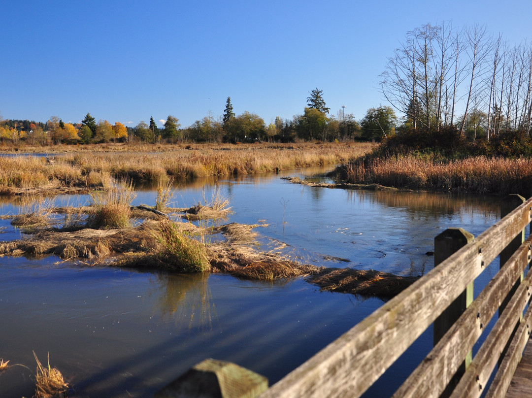 Spencer Island Park景点图片