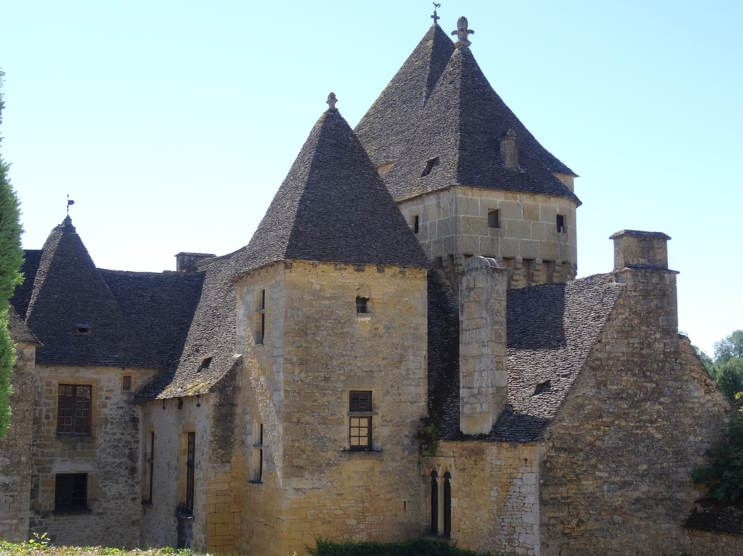 Château de Saint-Geniès景点图片