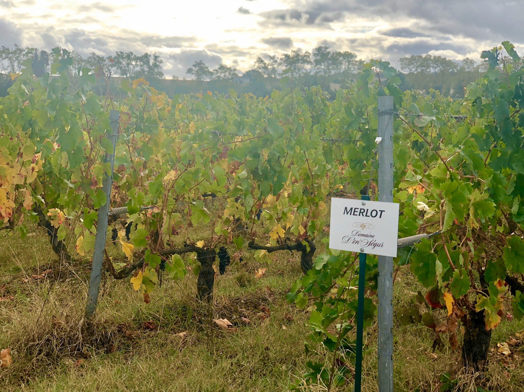 Domaine D'en Segur-Lavaur必去景点