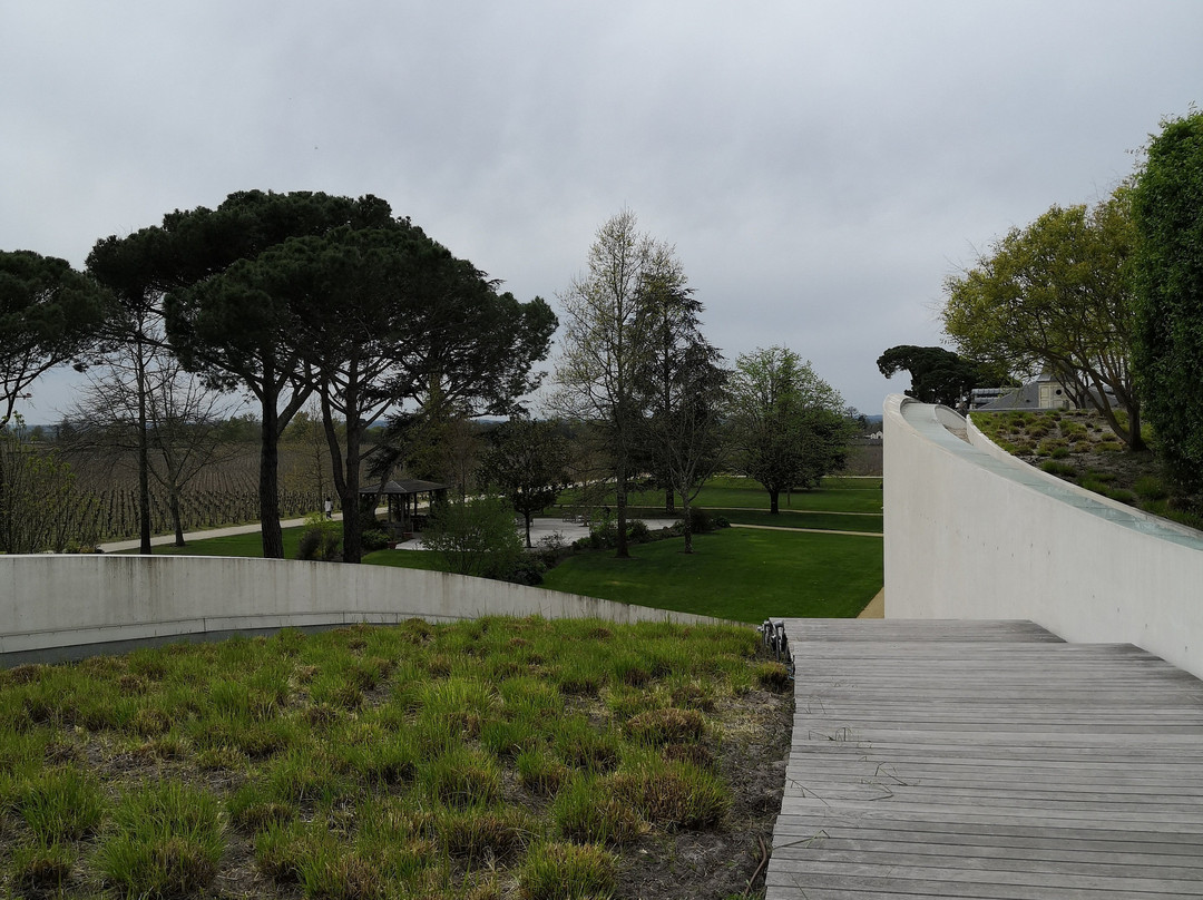 Bella Wine Tours-波尔多必去景点