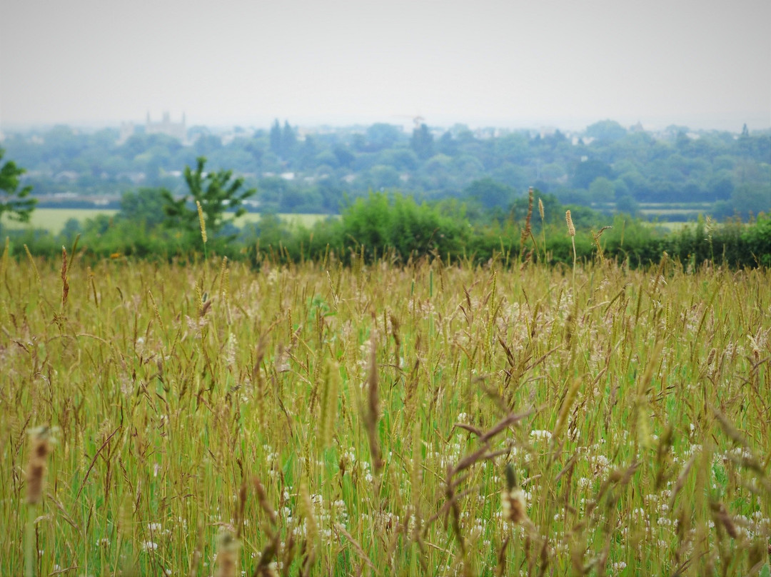 Coton Country Reserve景点图片