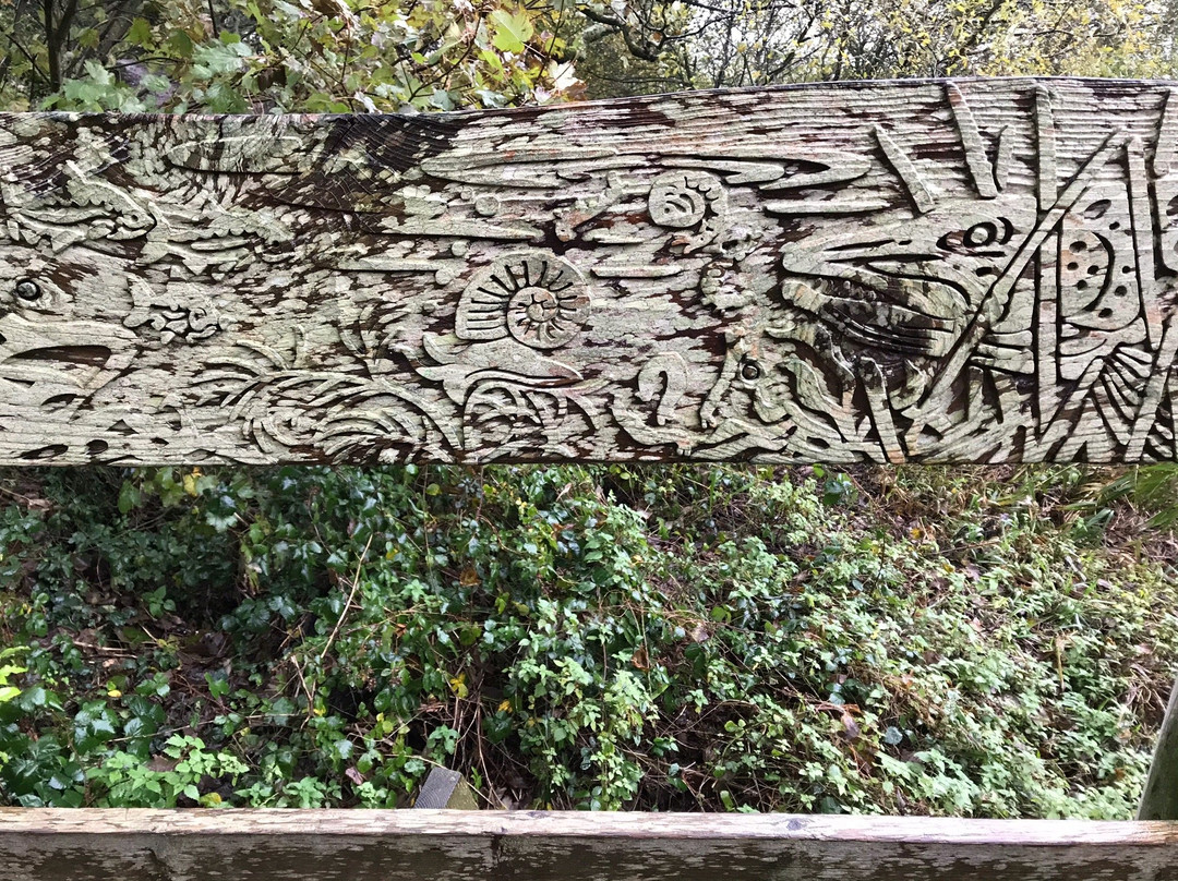 Slapton Ley Nature Reserve-Slapton必去景点