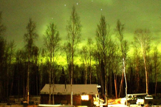 Howling Bay Kennel-费尔班克斯必去景点