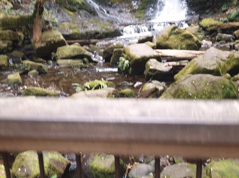 Mt Field National Park Campground主图