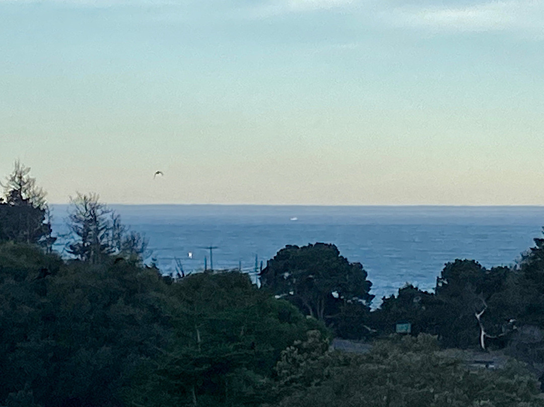 Stanford Inn & Resort主图