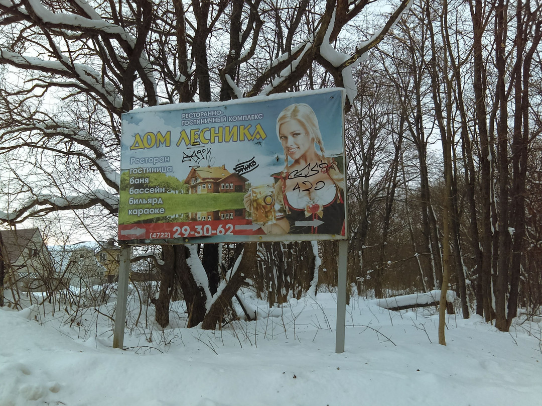 Dom Lesnika