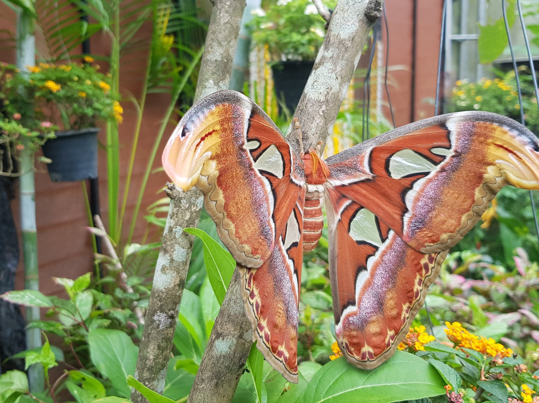 Private Guide in Chiang Mai-清迈必去景点