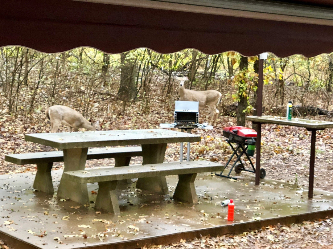 Arcadia Lake-埃德蒙必去景点