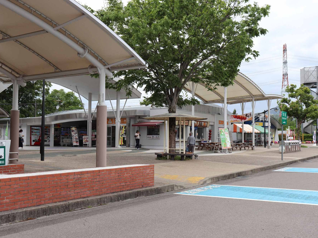 Nagaragawa Service Area Outbound-关市必去景点