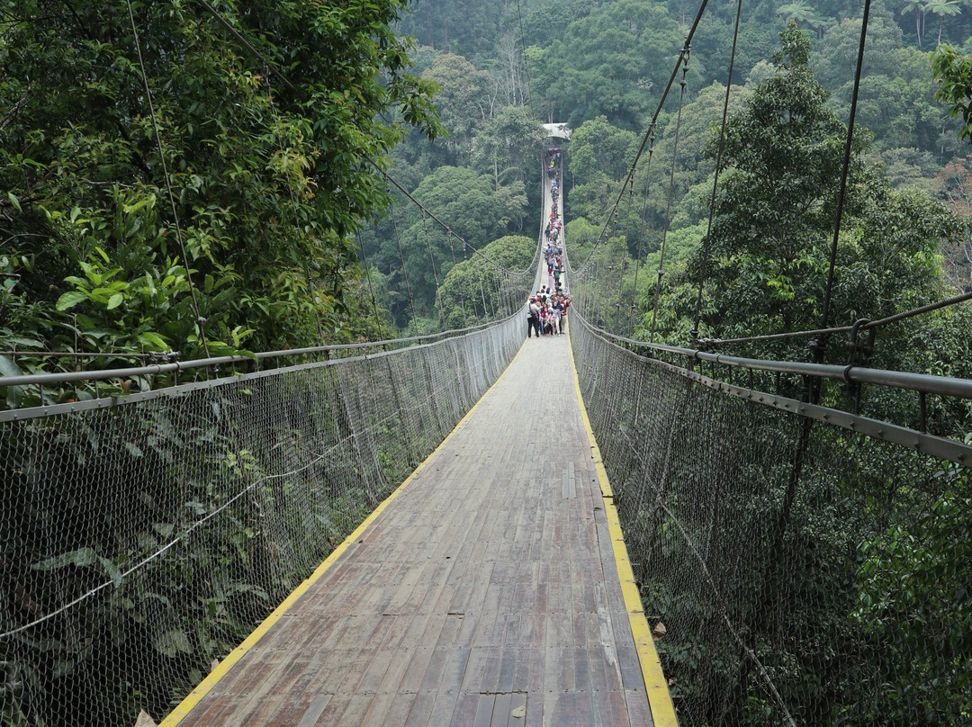 Jembatan Gantung Situ Gunung景点图片