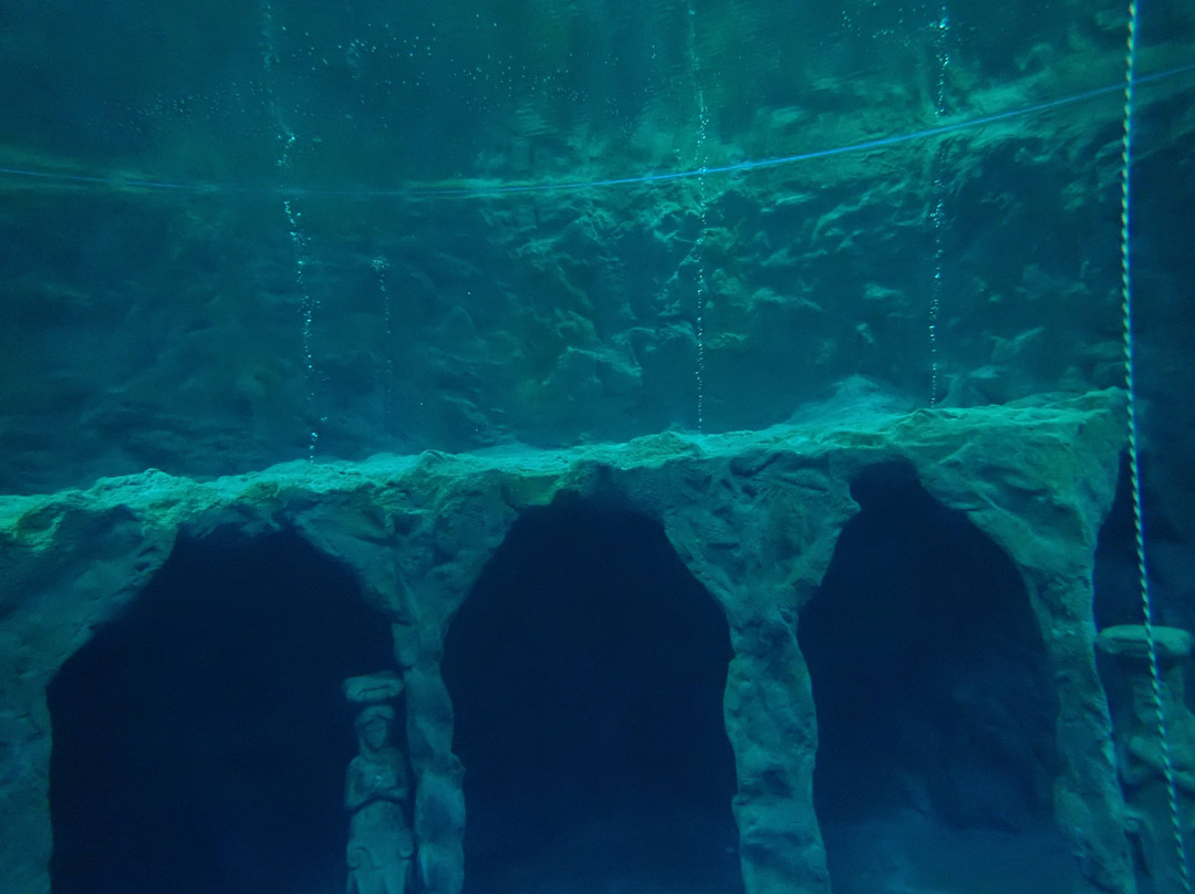 Dive4Life景点图片
