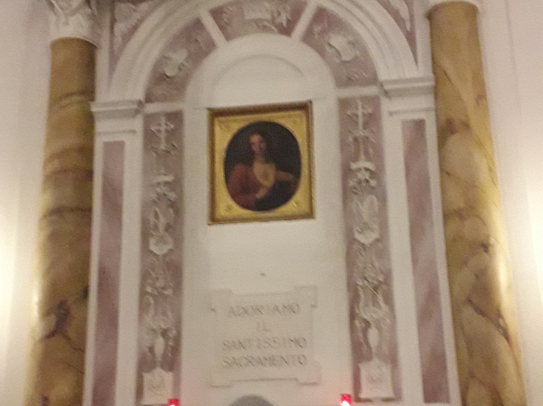 Collegiata di Santa Maria Assunta景点图片