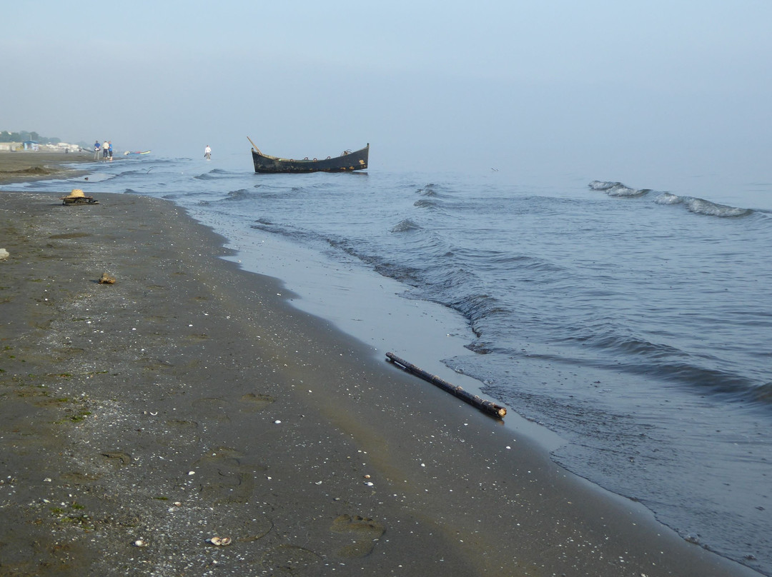 Caspian coastline景点图片