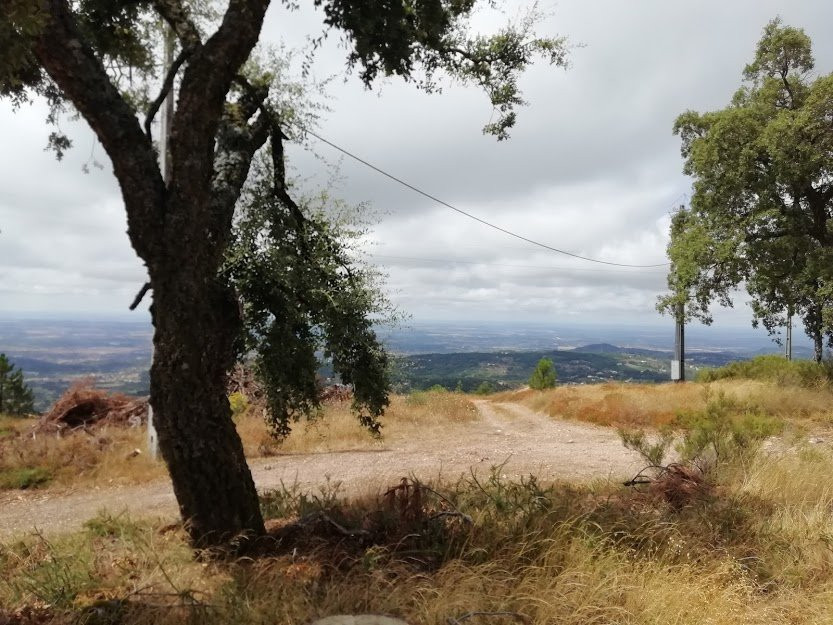 Parque Natural da Serra de Sao Mamede景点图片