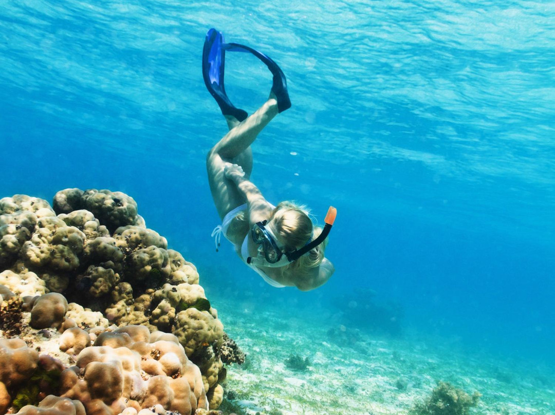 Chukka Caribbean Adventures-Grand Turk必去景点