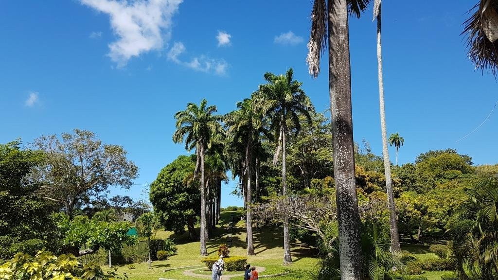 斯卡伯勒旅游景点-Scarborough Botanical Garden