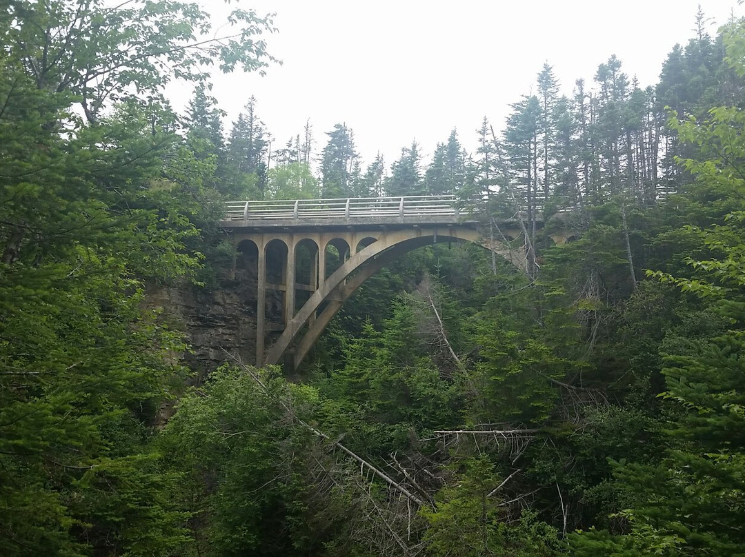 Portugal Cove South旅游攻略图片