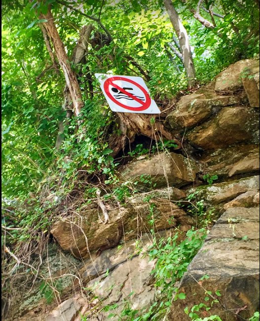 Patapsco Valley State Park McKeldin Area
