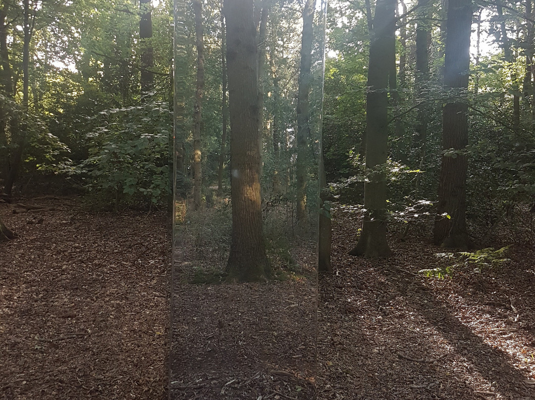 Sculpture Garden Clingenbosch-Wassenaar必去景点