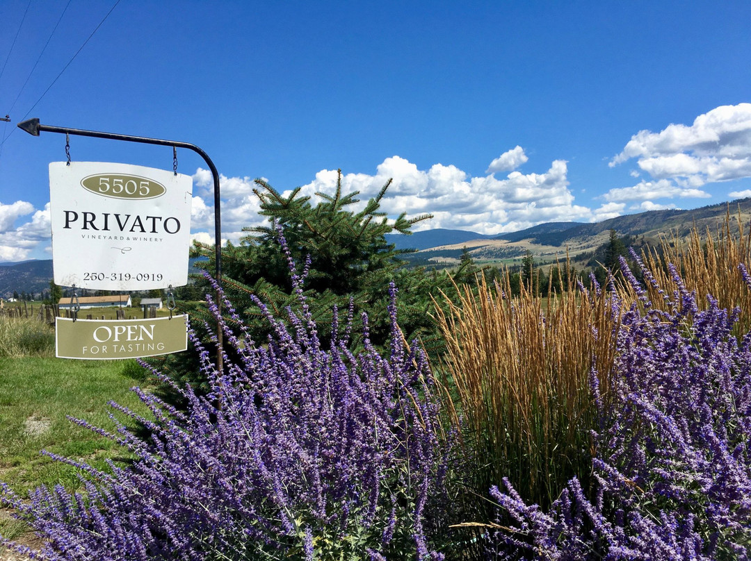 Privato Vineyard and Winery & Woodward Cider Co景点图片