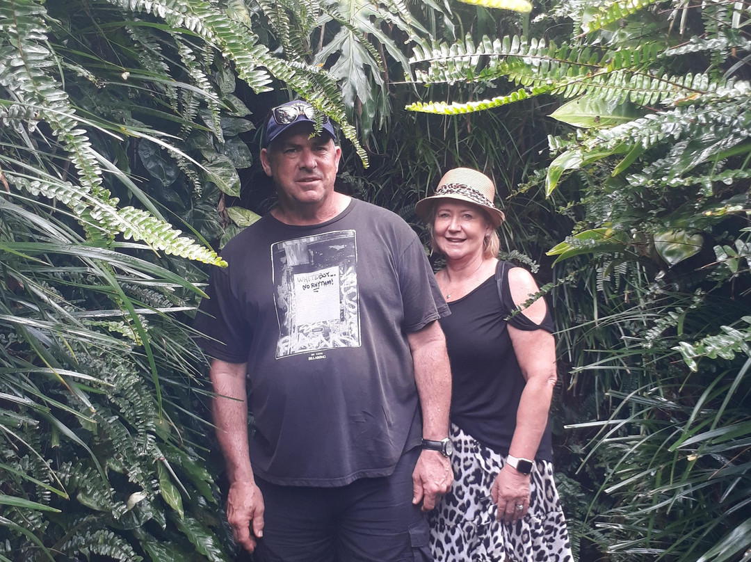 Happy Holiday Private Tours-岘港必去景点