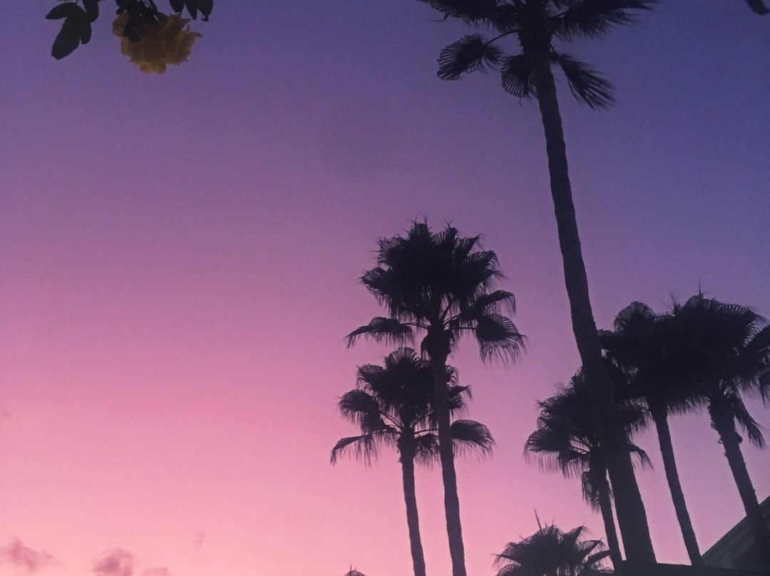 LA Hotel & Resort主图