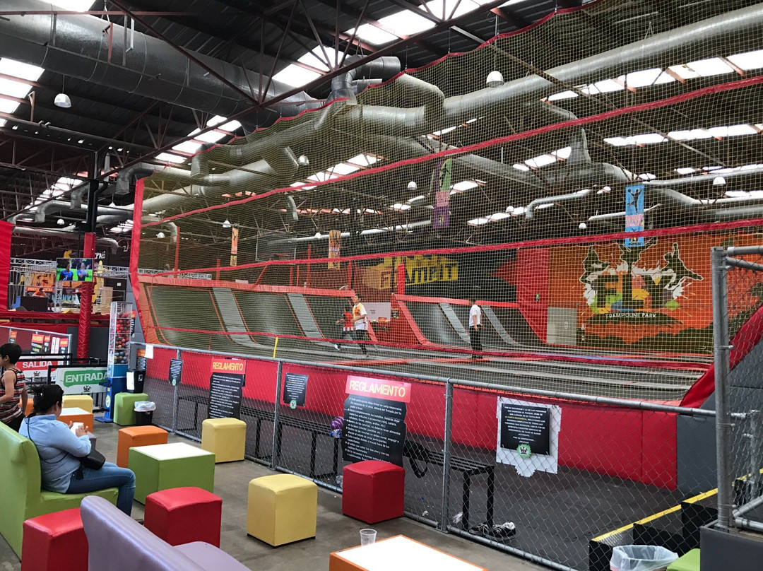 Fly Trampoline Park景点图片