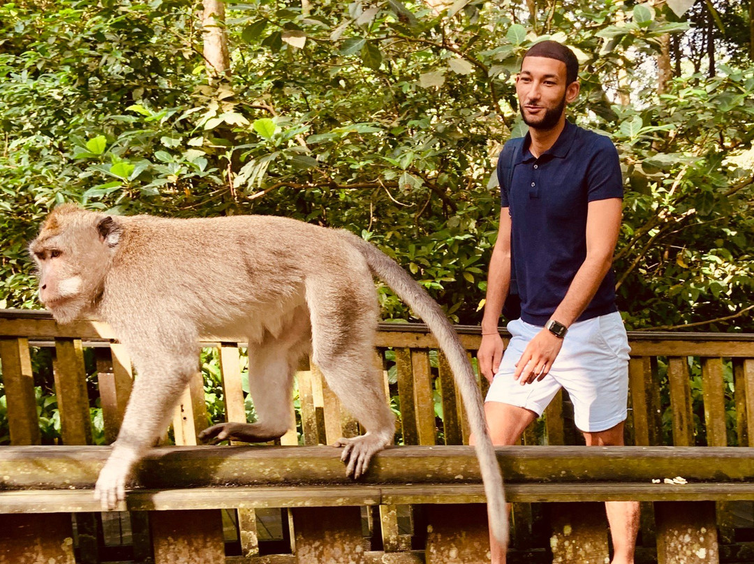 Adventure Bali Travel-登巴萨必去景点