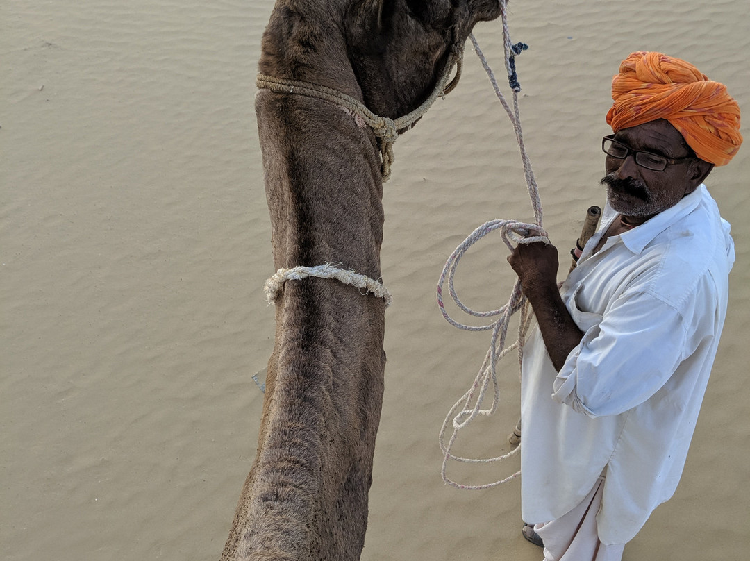 皇家沙漠营地主图