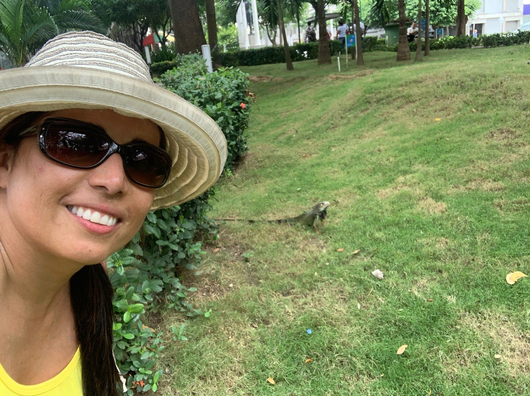 La Lorenza-Monteria必去景点