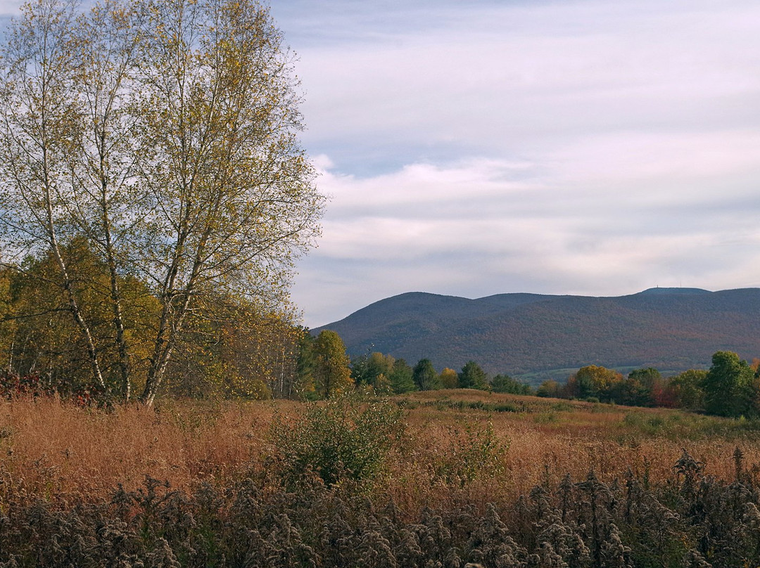 Mountain Meadow Preserve景点图片