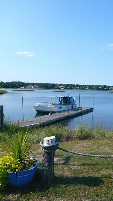 Starfish Bass River Cruises景点图片