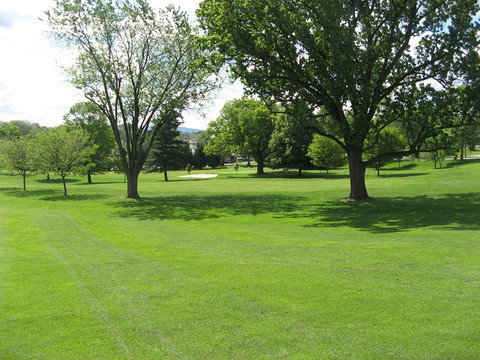 The Greens at Hamilton Run-黑格斯敦必去景点