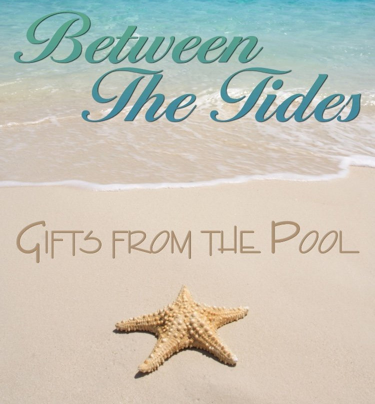 Between the Tides Gift Shop景点图片
