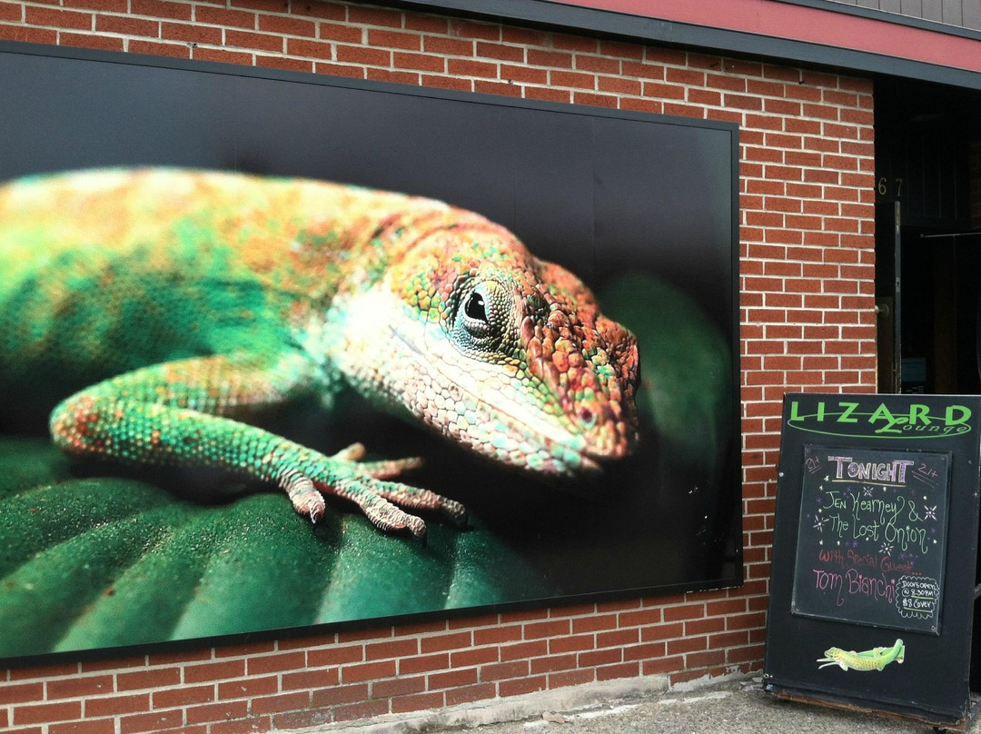 Lizard Lounge景点图片