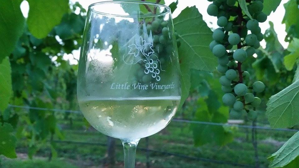 Little Vine Vineyards and Winery景点图片