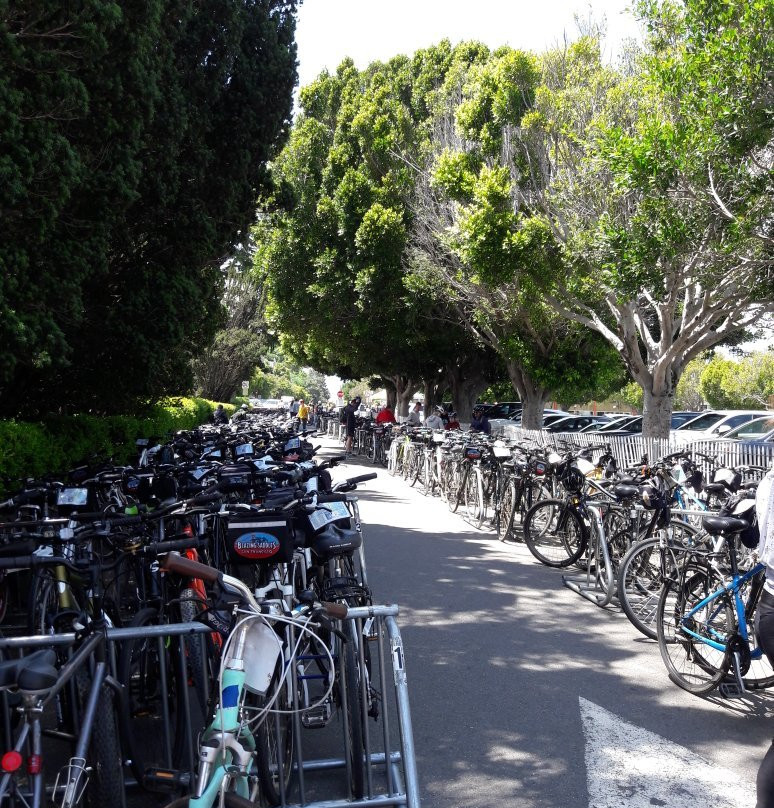 Sausalito Bike Return景点图片