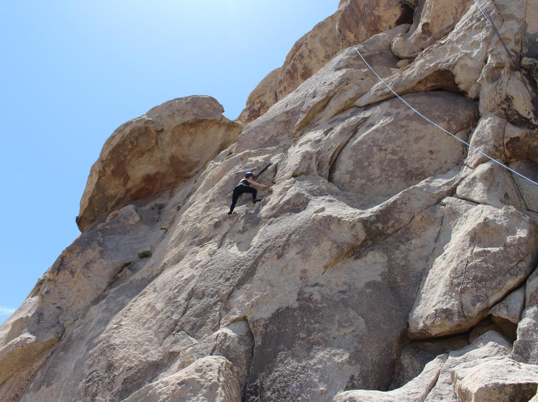 Joshua Tree Rock Climbing School