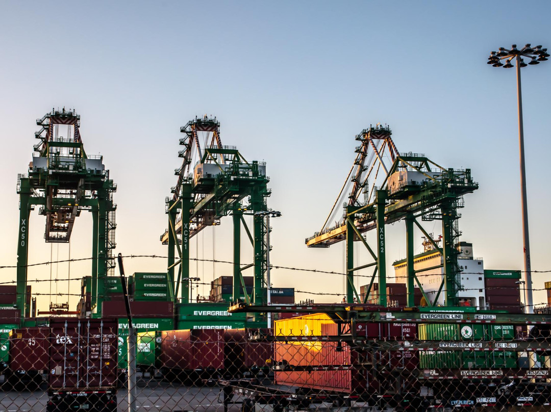 Port View Park-奥克兰必去景点