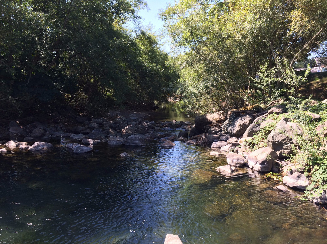 Rowdy Creek Fish Hatchery景点图片