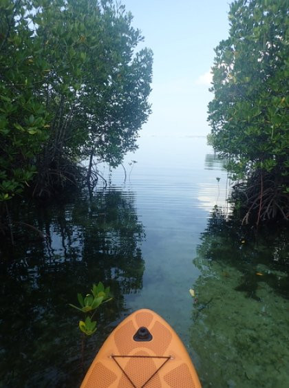 Rene's Diverslounge Resort主图